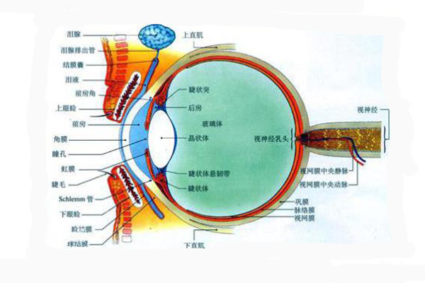 顏色是怎么被人眼感知的？顏色怎么表示與復(fù)現(xiàn)？